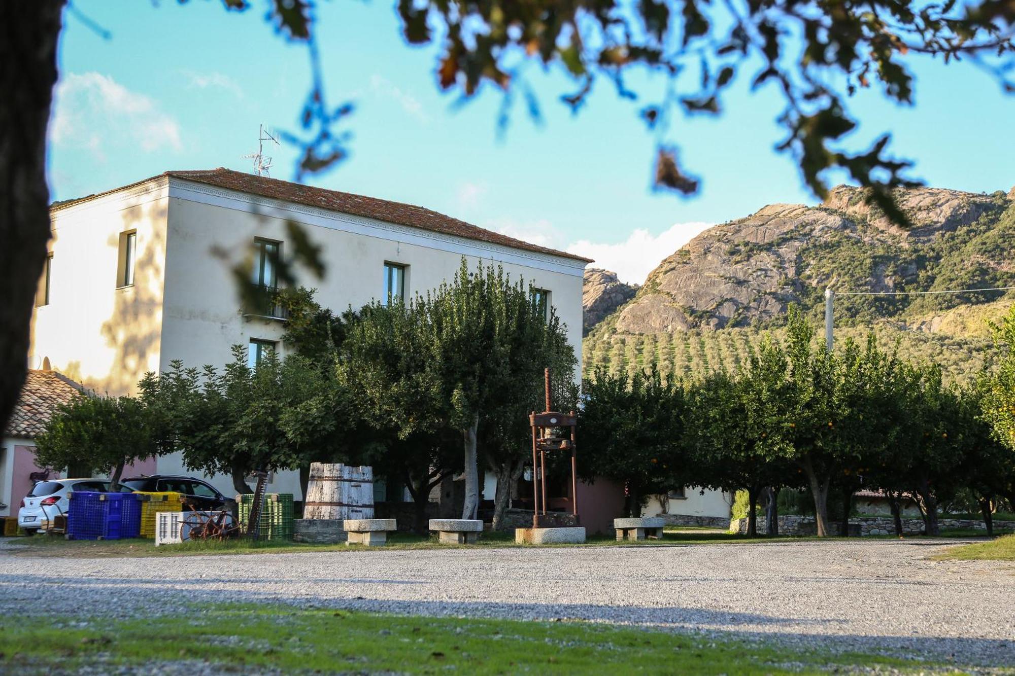 Barone Gr Macri Agriturismo Modi ジェラーチェ エクステリア 写真