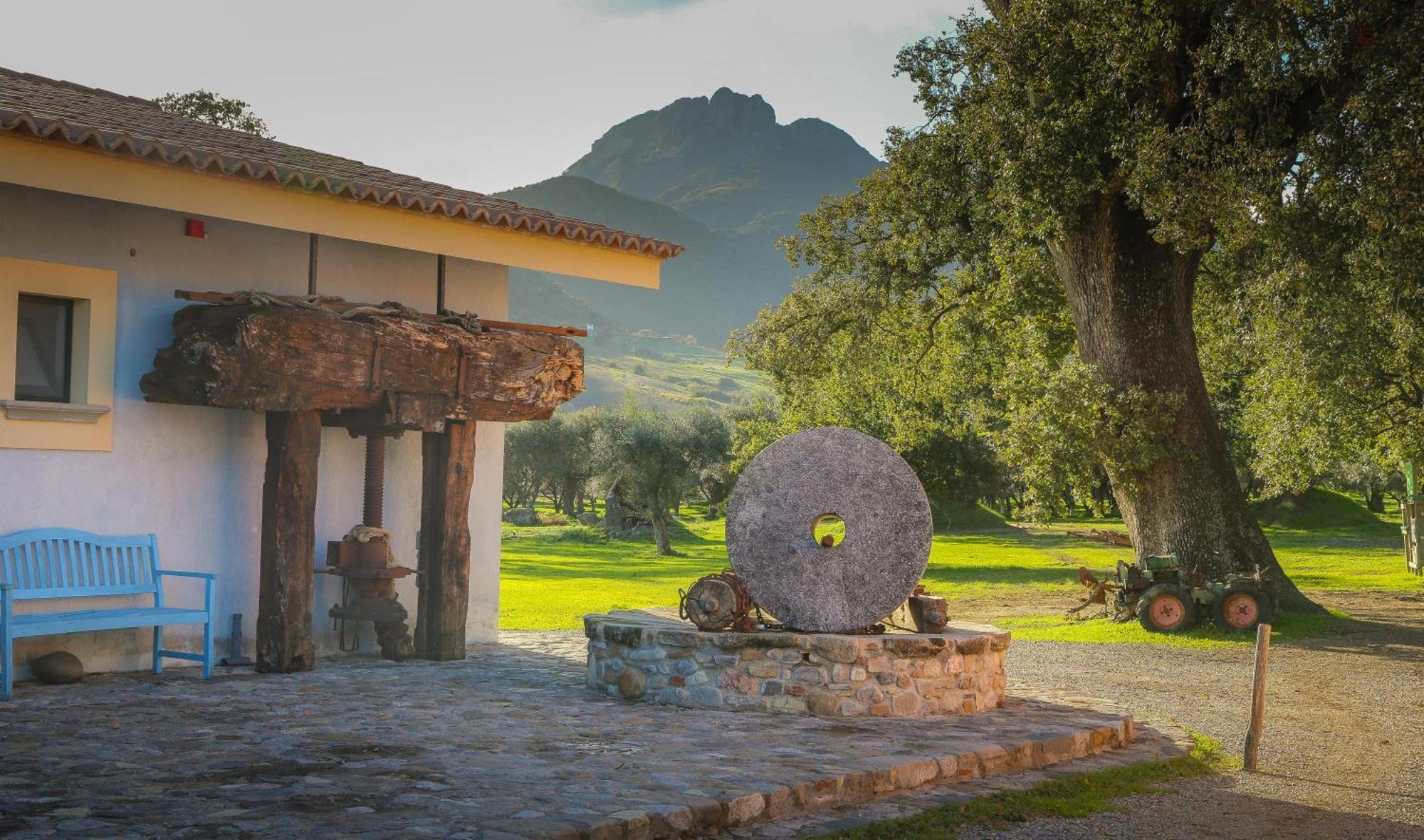 Barone Gr Macri Agriturismo Modi ジェラーチェ エクステリア 写真