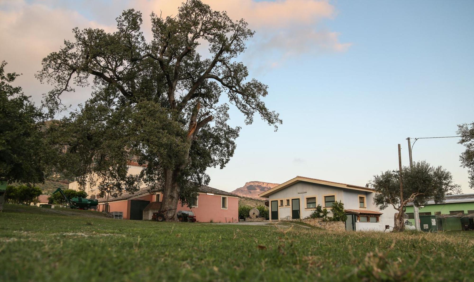 Barone Gr Macri Agriturismo Modi ジェラーチェ エクステリア 写真